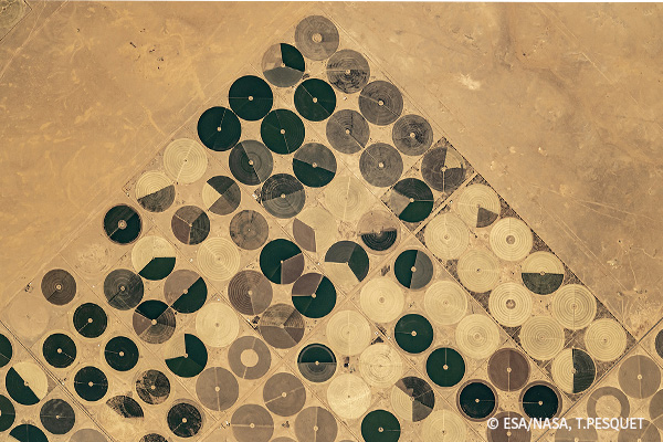 "QRCode et vyinyles", Arabie Saoudite