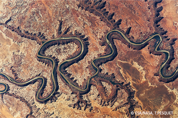 "Le Dragon," Amérique du Sud